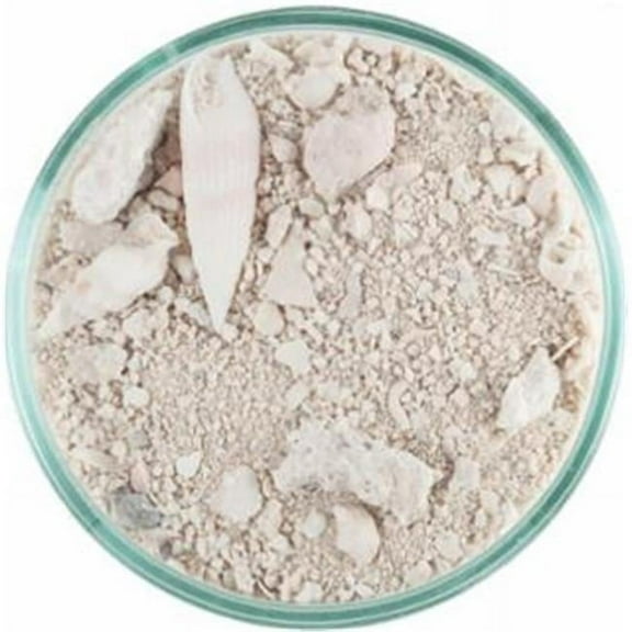 20 lbs Ocean Direct Natural Live Sand - 2 per Pack