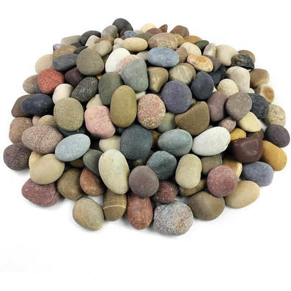 20 lbs River Rocks for Plants, 1-2 Inch Decorative Pebbles Stones for Landscaping Garden Painting Crafting Walkways and Outdoor Yard