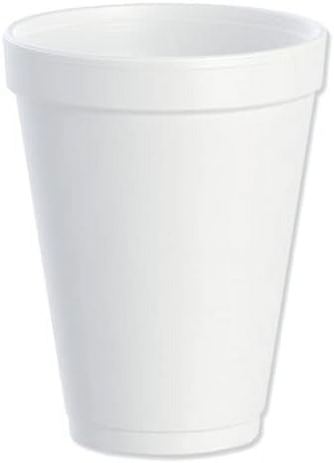 20 oz 20J16 Insulated Foam Coffee Cups, Hot & Cold (500 Count, 20 oz ...