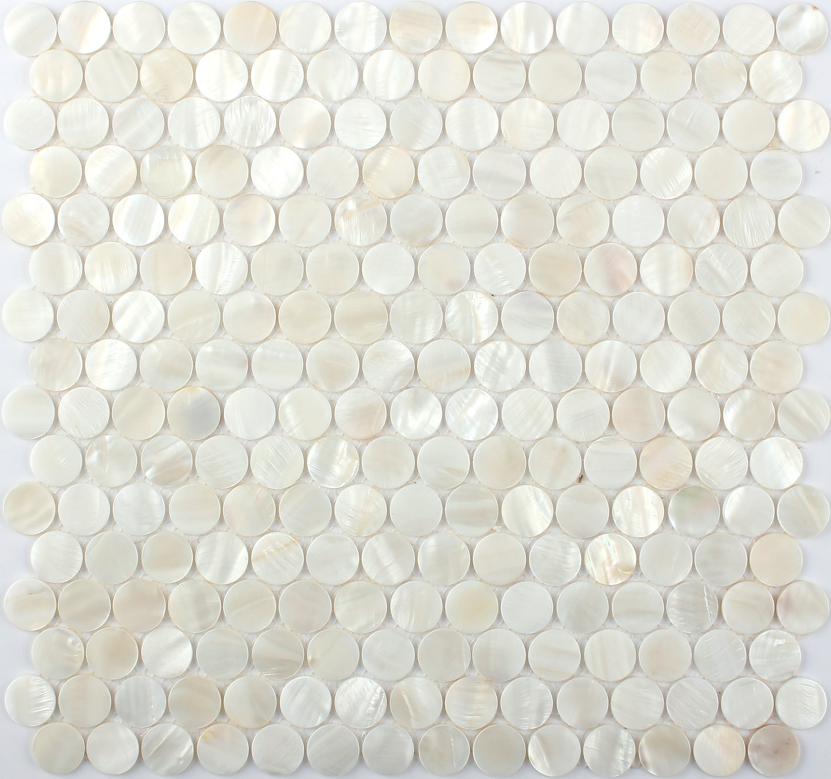 Shell Tile Round 20 pack Shell White 11.6-in x 11.6-in Polished Natural Stone Penny ...