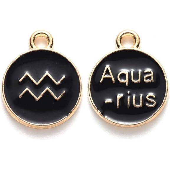 20 pc Alloy Enamel Pendants Cadmium Free Lead Free Flat Round with Constellation Light golden Black Aquarius 22x18x2mm Hole: 1.5mm
