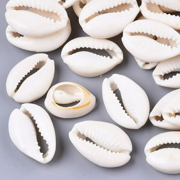20 pc Natural Cowrie Shell Beads No Hole/Undrilled Creamy White 20~28x15~20x8~9mm