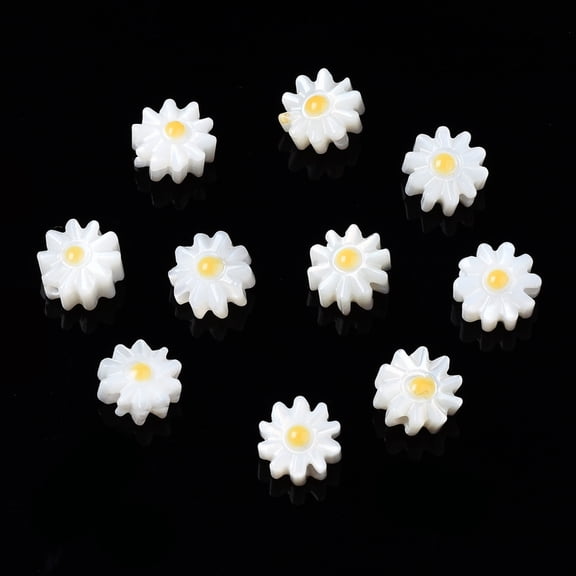 20 pc Natural Freshwater Shell Beads with Enamel Flower Gold 6x3mm Hole: 0.9mmDIY