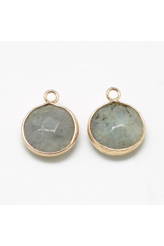 20 pc Natural Labradorite Pendants with Brass Findings Faceted Flat Round Golden Gray 19~21x15~16x6~7mm Hole: 2mm