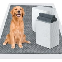 20 pcs Charcoal Puppy Pads Pee Pads for Dogs,Dog Pee Pads Extra Large 24" x 36"Carbon Odor Control, 6-Layer Leak-Proof & Quick Dry Dog Training Pads