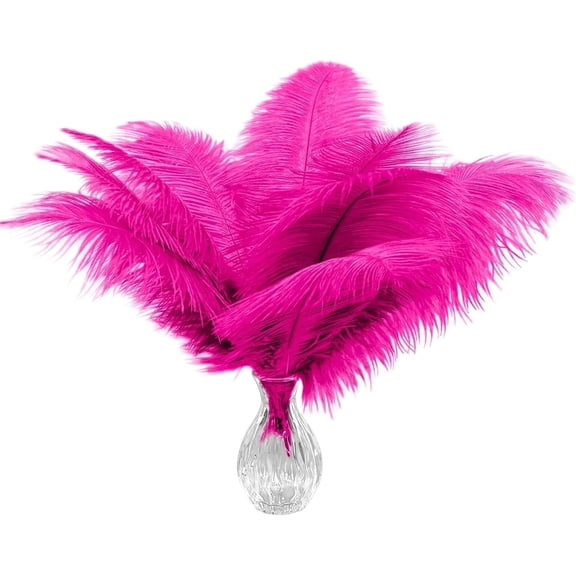 20 pcs Fuchsia Ostrich Feather 12-14 inch(30-35 cm) Bulk for Wedding Party Centerpieces and DIY Clothes Decoration, Gatsby Decorations