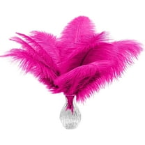 20 pcs Fuchsia Ostrich Feather 12-14 inch(30-35 cm) Bulk for Wedding Party Centerpieces and DIY Clothes Decoration, Gatsby Decorations
