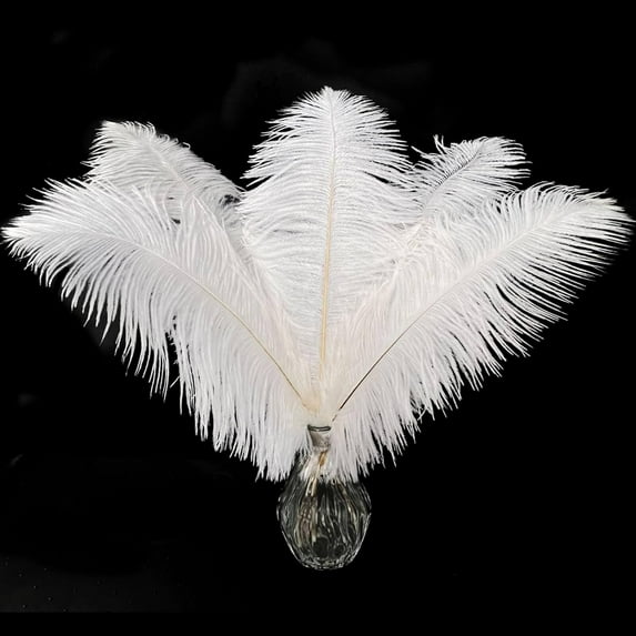 20 pcs Natural White Ostrich Feathers Plumes 10-12 inch(25-30 cm) Bulk for Wedding Party Centerpieces,Gatsby Decorations