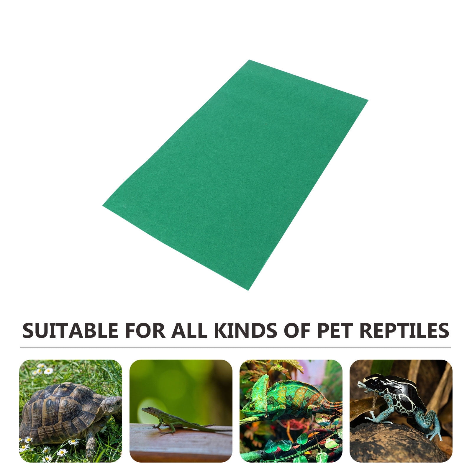 Bearded dragon tank liner online