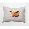 thumbnail image 1 of 20" x 14" Simply Daisy Gourd Pile Fall Polyester Indoor/Outdoor Pillow, Ivory Qty 1, 1 of 3