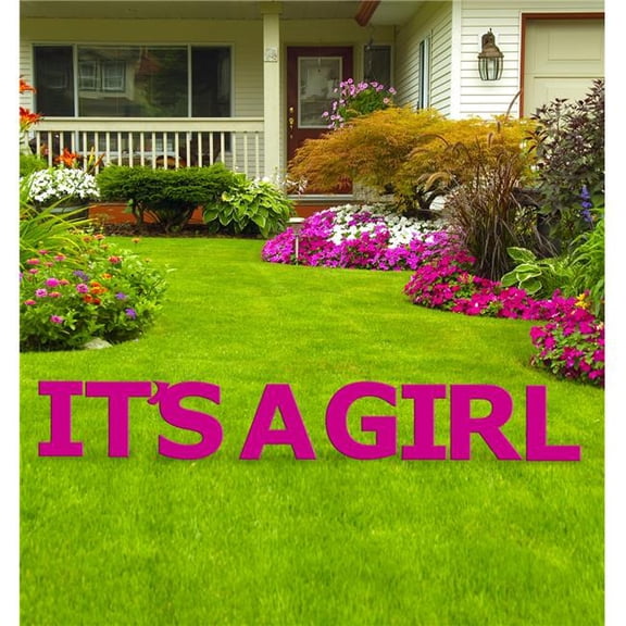 20 x 15 in. Its a Girl Yard Sign Kit, Pink