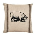 thumbnail image 1 of Pig Feed Sack Throw Pillow, 20" x 20", 1 of 4