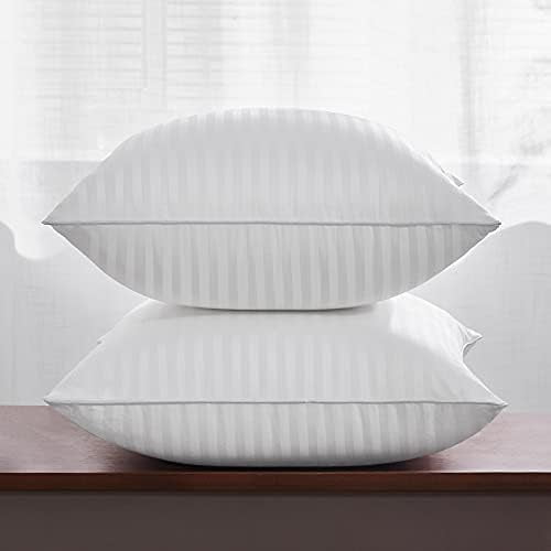 20 x 20 Throw Pillow Inserts, Firm and Fluffy Decorative Square Pillows for Couch Bed Sofa with Soft Cotton Cover White Cushion with Down Alternative Pack of 2