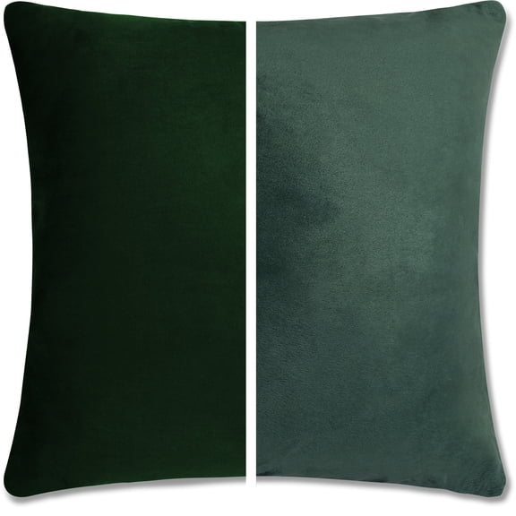 20" x 20" Throw Pillow - Ramona Green: 2 PCS / 4 Sided. Luxurious Premium Microbead Pillow with Reversible Cover Microsuede/Microplush Fabric. Forever Fluffy, Beautiful & Supportive. Soft & Comfy.