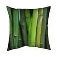 thumbnail image 1 of 20 x 20 in. Bamboo Plant-Double Sided Print Indoor Pillow, 1 of 1