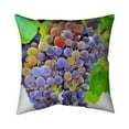 thumbnail image 1 of 20 x 20 in. Bunch of Grapes-Double Sided Print Indoor Pillow, 1 of 1