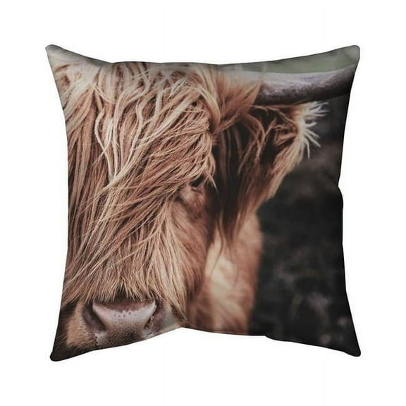 20 x 20 in. Desaturated Highland Cow-Double Sided Print Indoor Pillow