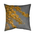 thumbnail image 1 of 20 x 20 in. Golden Wattle Plant-Double Sided Print Indoor Pillow, 1 of 1