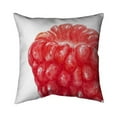 thumbnail image 1 of 20 x 20 in. Raspberry-Double Sided Print Indoor Pillow, 1 of 1