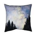 thumbnail image 1 of 20 x 20 in. Starry Sky In Forest-Double Sided Print Indoor Pillow Cover, 1 of 1