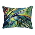 thumbnail image 1 of 20 x 24 in. Cocoa Nuts III Zippered Pillow - Extra Large, 1 of 1