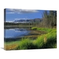 thumbnail image 1 of 20 x 24 in. Nutzotin Mountains & Boreal Forest Reflected in Receding Lake, Alaska Art Print - Tim Fitzharris, 1 of 1