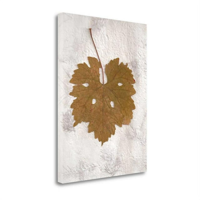 20" x 26" Floral - 28 By Alan Blaustein - Print on Canvas Fabric Multi-Color