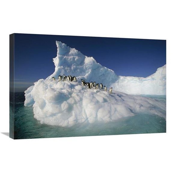 20 x 30 in. Adelie Penguin Group on Sculpted Iceberg, Terre Adelie Land, East Antarctica Art Print - Colin Monteath