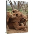 thumbnail image 1 of 20 x 30 in. African Elephant Baby Orphans Explore Imenti, Tsavo East National Park, Kenya Art Print - Gerry Ellis, 1 of 1