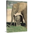 thumbnail image 1 of 20 x 30 in. African Elephant Mother & Calf, Native to Africa Art Print - San Diego Zoo, 1 of 1