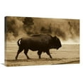 thumbnail image 1 of 20 x 30 in. American Bison Male Near Hot Springs, Yellowstone National Park, Wyoming - Sepia Art Print - Pete Oxford, 1 of 1