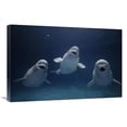 thumbnail image 1 of 20 x 30 in. Beluga Whale Trio Calling, Vulnerable, Shimane Aquarium, Japan Art Print - Hiroya Minakuchi, 1 of 1