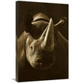 thumbnail image 1 of 20 x 30 in. Black Rhinoceros Portrait, Native to Africa - Sepia Art Print - San Diego Zoo, 1 of 1