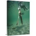 thumbnail image 1 of 20 x 30 in. Brown Pelican Catching Mullet, Turtle Bay, Galapagos Islands, Ecuador Art Print - Tui De Roy, 1 of 1