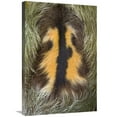 thumbnail image 1 of 20 x 30 in. Brown-Throated Three-Toed Sloth Back of Mature Male, Aviarios Sloth Sanctuary, Costa Rica Art Print - Suzi Eszterhas, 1 of 1
