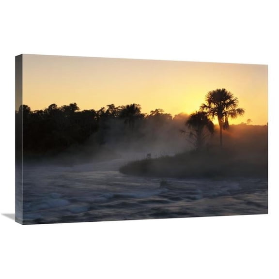 20 x 30 in. Buriti Palm Gallery Forest Along Formoso River, Emas National Park, Brazil Art Print - Tui De Roy