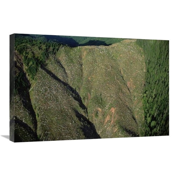 20 x 30 in. Clear Cutting, Olympic National Park, Washington Art Print - Mark Moffett