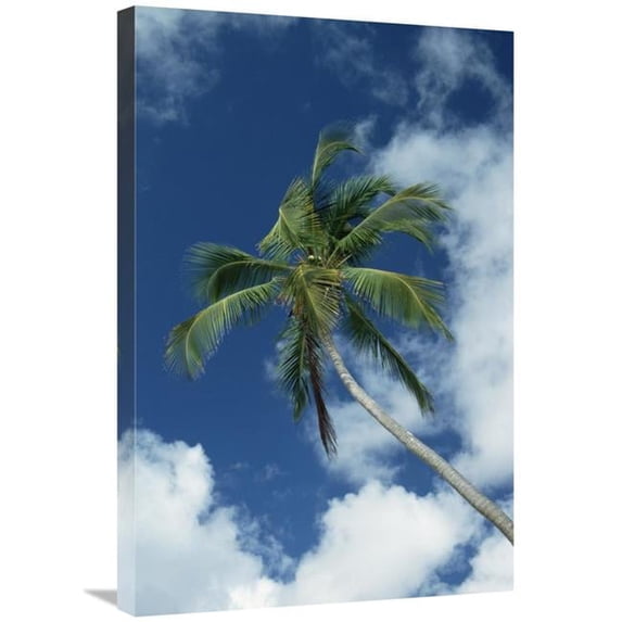 20 x 30 in. Coconut Palm Against Blue Sky & Clouds Art Print - Konrad Wothe