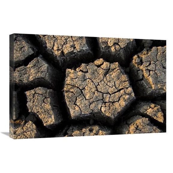 20 x 30 in. Cracked, Dried Out Mud, Mokolodi Nature Reserve, Botswana Art Print - Vincent Grafhorst