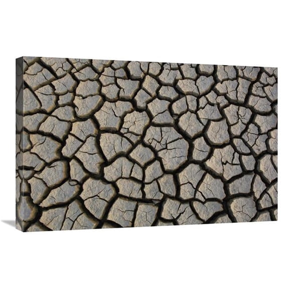 20 x 30 in. Cracked Mud on the Salt Flats of the Little Rann of Kutch, Gujarat, India Art Print - Pete Oxford