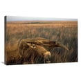 thumbnail image 1 of 20 x 30 in. Giant Anteater Carrying Her Young & Feeding in Dry Cerrado Grassland, Brazil Art Print - Tui De Roy, 1 of 1