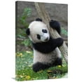 thumbnail image 1 of 20 x 30 in. Giant Panda Cub, Native to China Art Print - San Diego Zoo, 1 of 1