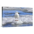 thumbnail image 1 of 20 x 30 in. Glaucous Gull on Ice Floe, Spitsbergen, Norway Art Print - Konrad Wothe, 1 of 1