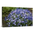 thumbnail image 1 of 20 x 30 in. Greek Anemone Flowers Art Print - Visionspictures, 1 of 1
