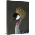 thumbnail image 1 of 20 x 30 in. Grey Crowned Crane Portrait, Native to Africa Art Print - San Diego Zoo, 1 of 1