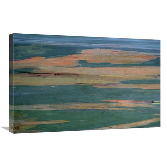 20 x 30 in. Gum Tree Bark Detail Art Print - Winfried Wisniewski