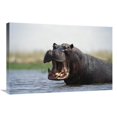 thumbnail image 1 of 20 x 30 in. Hippopotamus Bull Threat Displaying, Dish Pan, Linyanti Swamp, Botswana Art Print - Gerry Ellis, 1 of 1