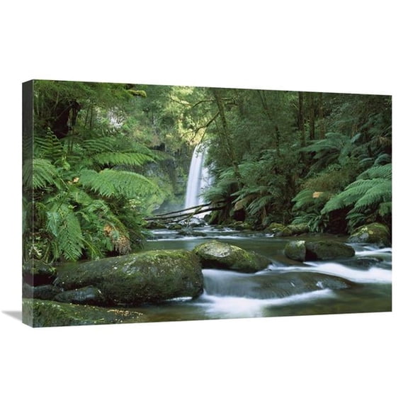 20 x 30 in. Hopetoun Falls in the Rainforest, Otway National Park, Australia Art Print - Konrad Wothe