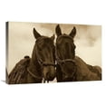 thumbnail image 1 of 20 x 30 in. Horses Pair Belonging to Chagras, Andes Mountains, Ecuador - Sepia Art Print - Pete Oxford, 1 of 1
