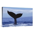 thumbnail image 1 of 20 x 30 in. Humpback Whale Tail Lob, Maui, Hawaii Art Print - Flip Nicklin, 1 of 1